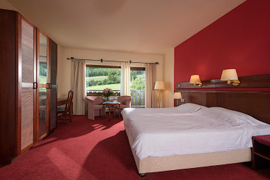 Sauerland Alpin Hotel: Room