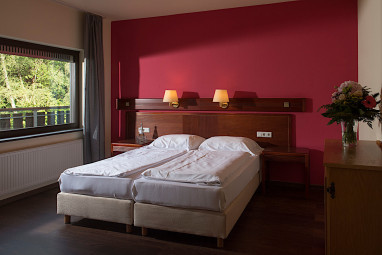 Sauerland Alpin Hotel: Room