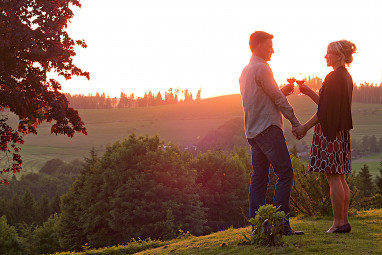 Sauerland Alpin Hotel: Diversen