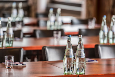 Sauerland Alpin Hotel: Meeting Room