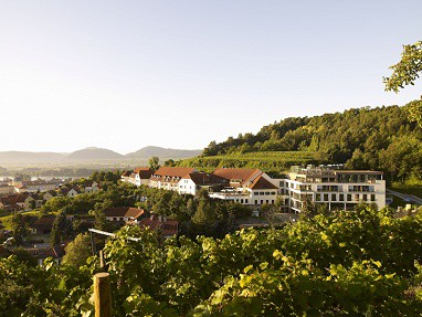 Steigenberger Hotel and Spa Krems: Vista exterior